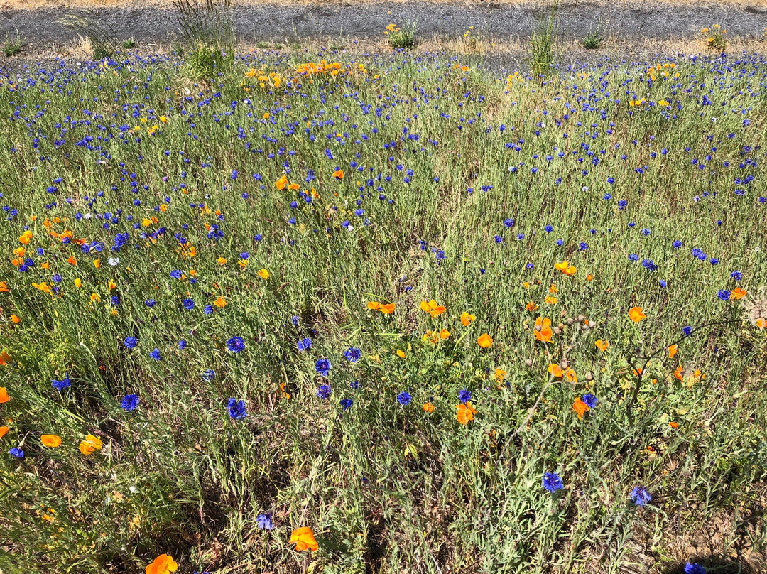 Panorama Point County Park-胡德里弗必去景点