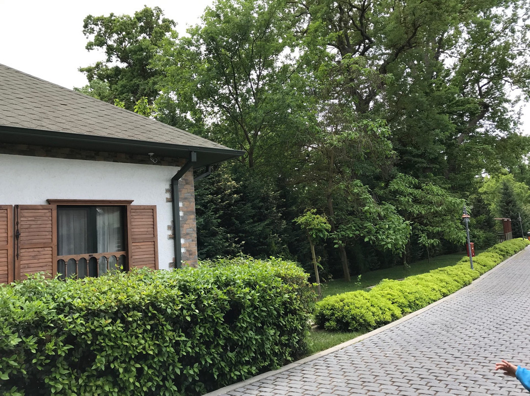 River Inn Resort And Spa主图