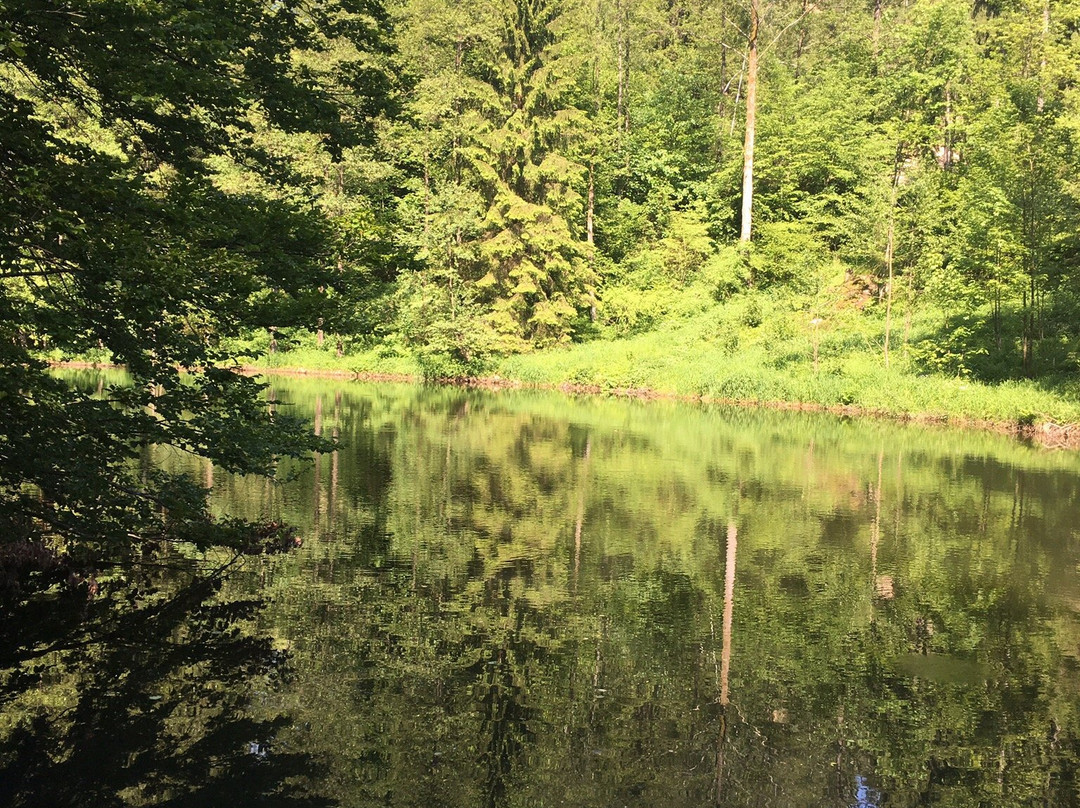Stillensteinklamm Wanderweg-Grein必去景点