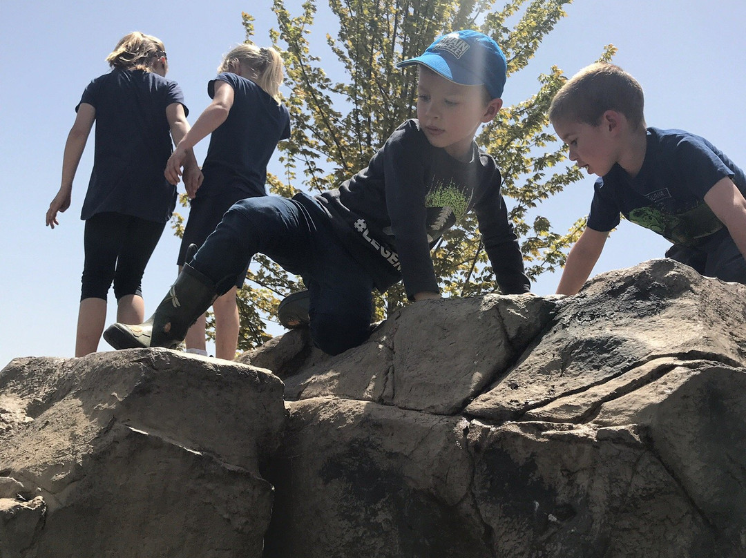 Fox River Park-沃基肖必去景点