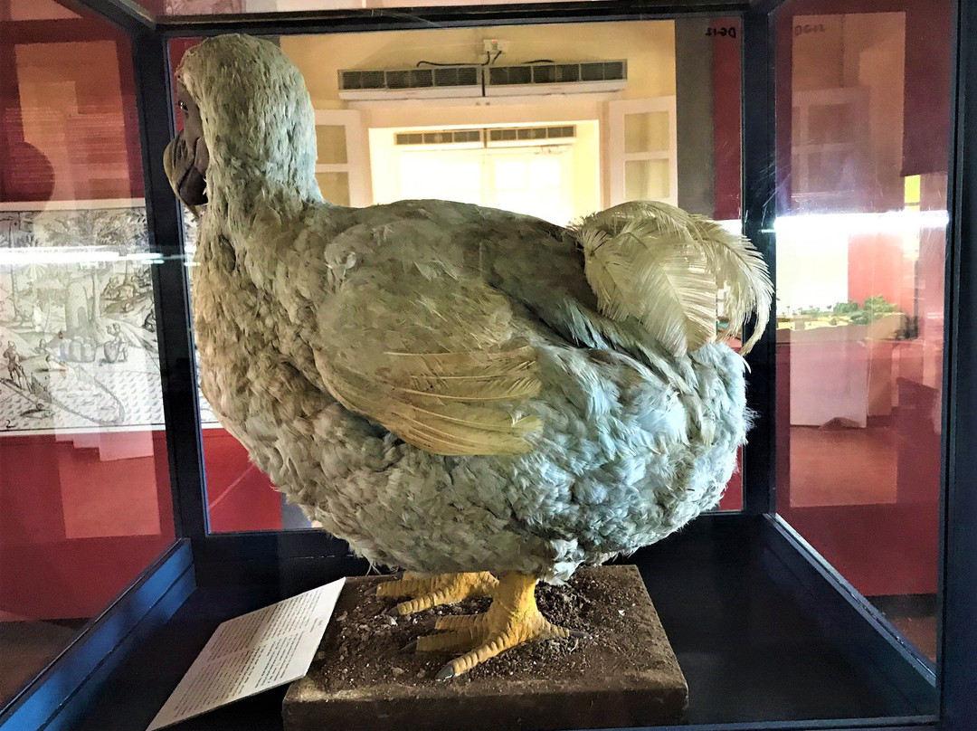 Frederik Hendrik Museum & Vieux Grand Port Historic Site-Vieux Grand Port必去景点