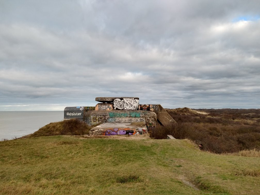 Fort des Dunes景点图片