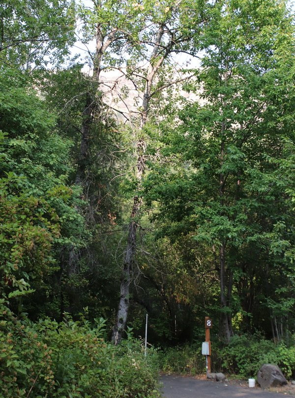 Harris Park-Milton Freewater必去景点