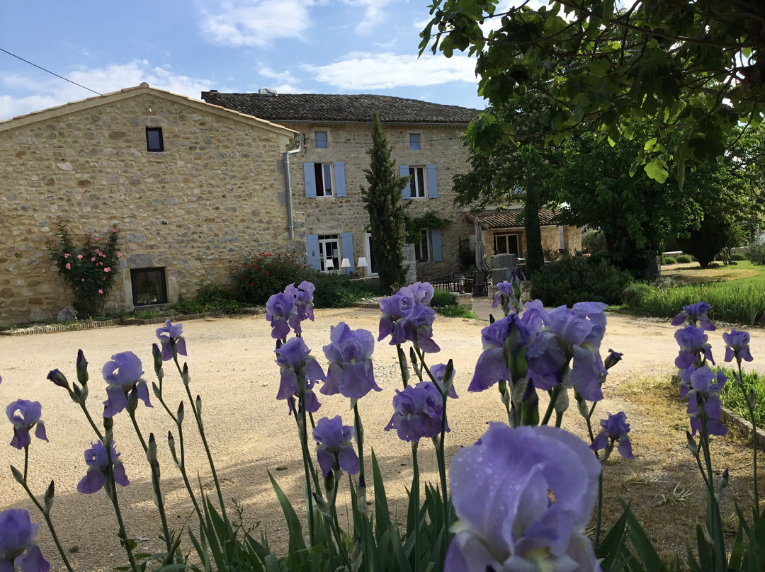 La bastide de Vallon主图