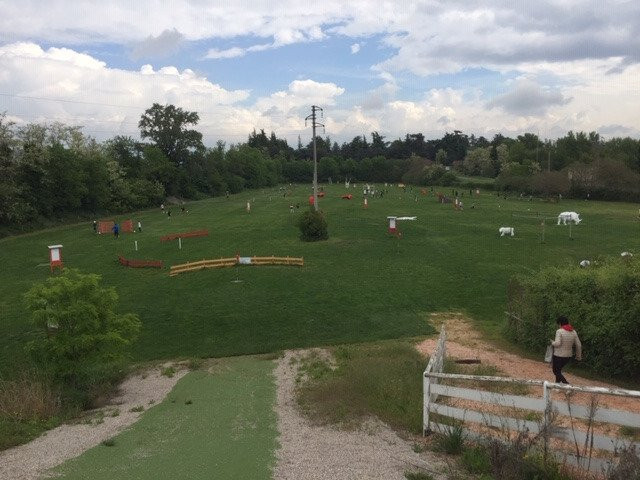 Footgolfpark景点图片