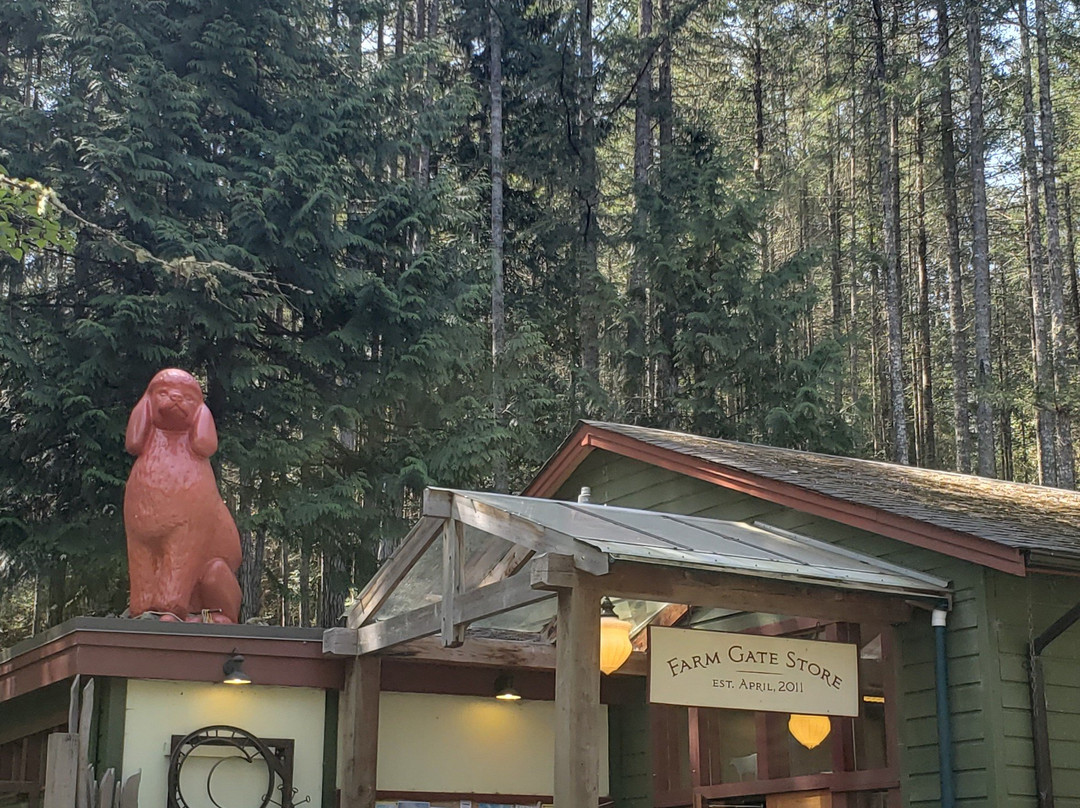 Mayne Island餐馆和美食-Farm Gate Store