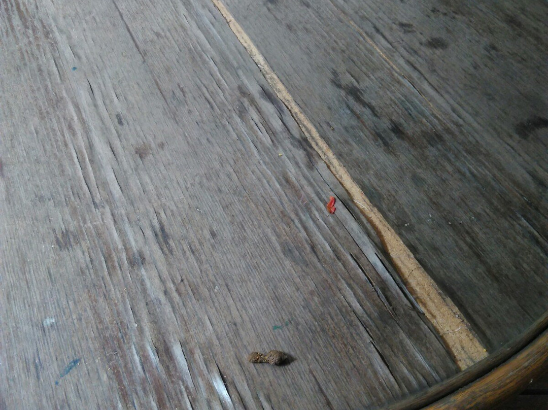 Umlalazi Nature Reserve-马图纪尼必去景点