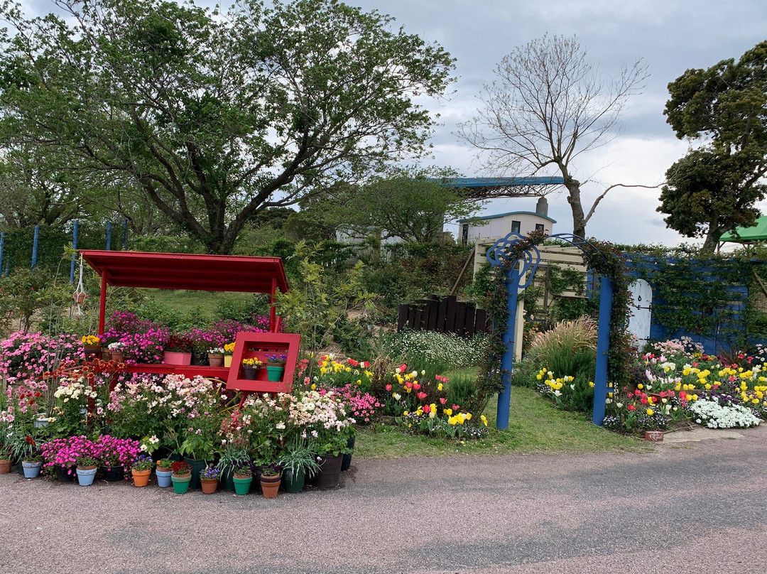 Kanoya Rose Garden-鹿屋市必去景点
