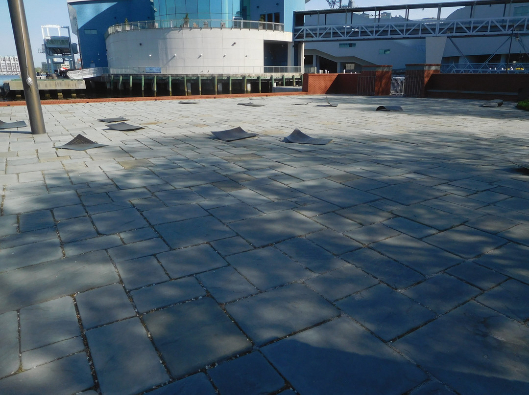 Armed Forces Memorial-诺福克必去景点