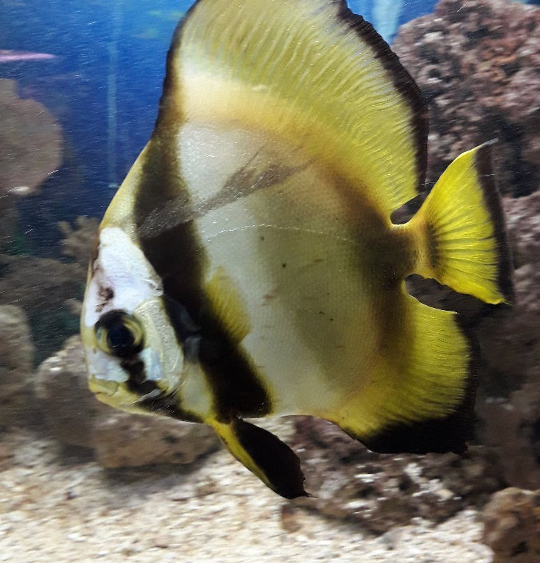 Zoo Acquario di Imola-伊莫拉必去景点