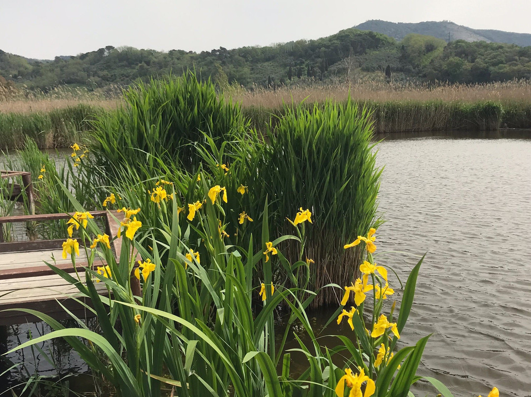 Eco Lago景点图片