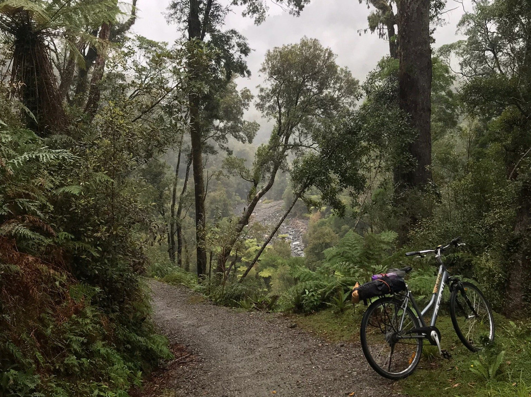 West Coast Rail Trail Cycle Path Outfitter景点图片