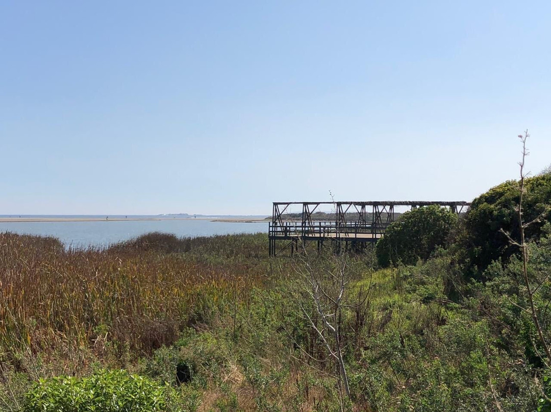 Humedal De Concon-Concon必去景点