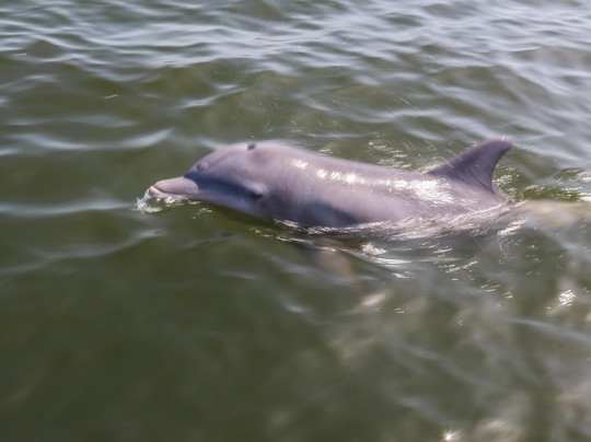 Island Boat Excursions-橙色海湾必去景点