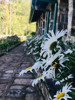 Castlereigh Holiday Bungalow主图