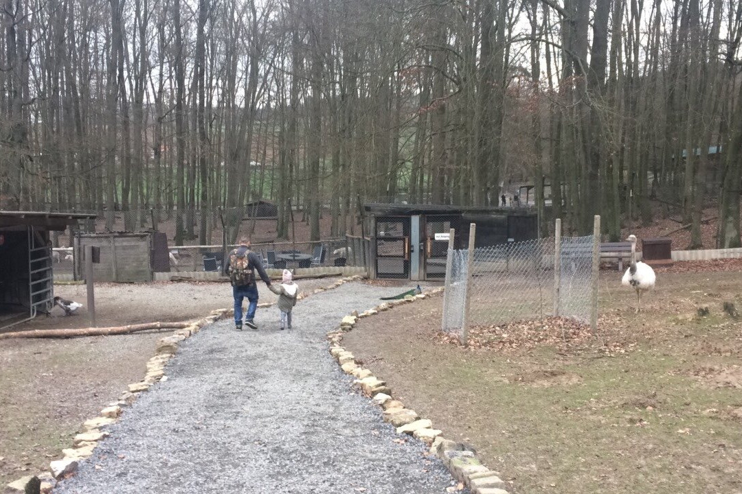 Bretten Tierpark景点图片