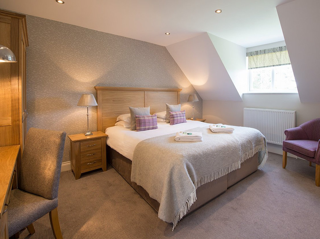 摩尔希尔别墅酒店主图