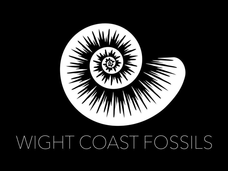Isle of Wight Fossil Walks- Wight Coast Fossils-文特诺必去景点