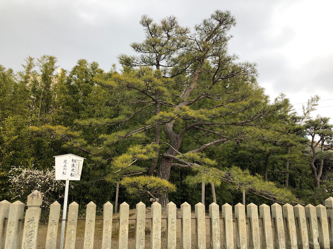 Onoe Shrine-加古川市必去景点