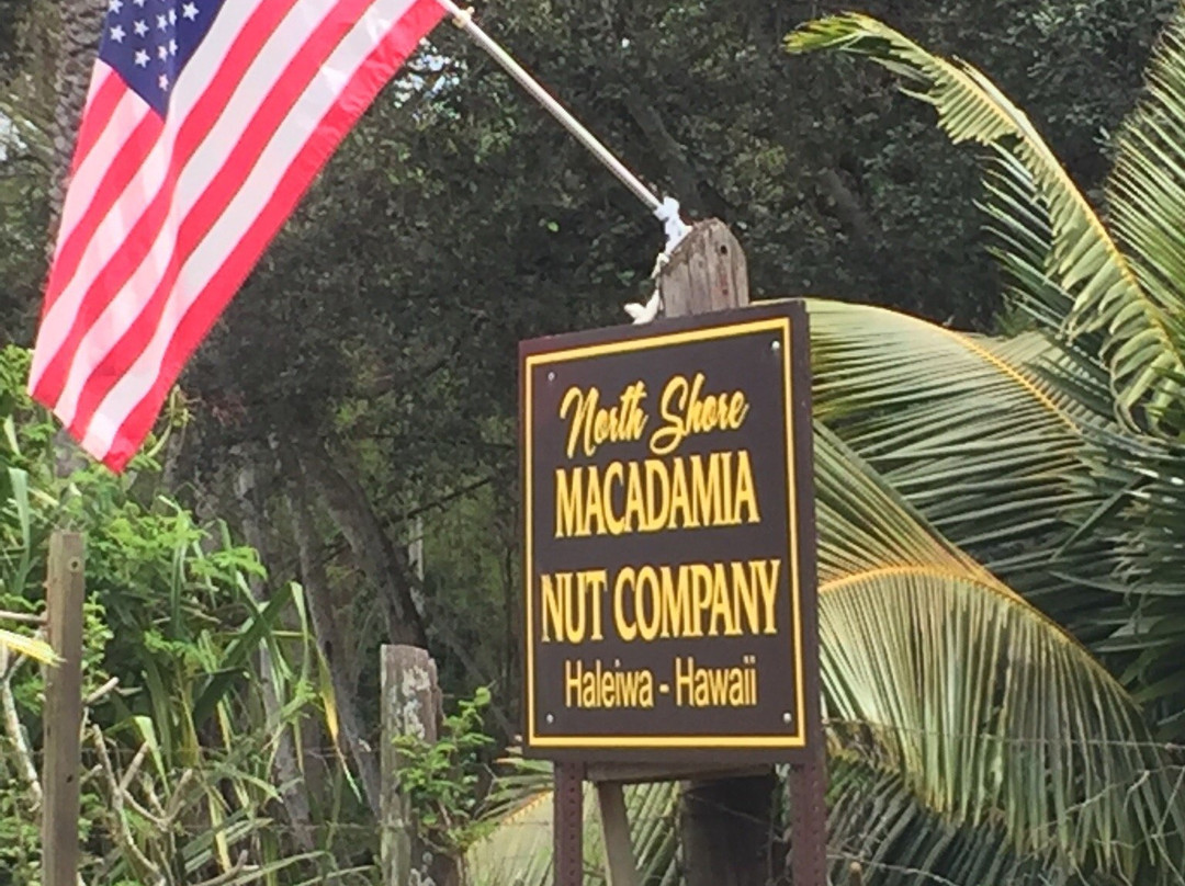 North Shore Macadamia Nut Company景点图片