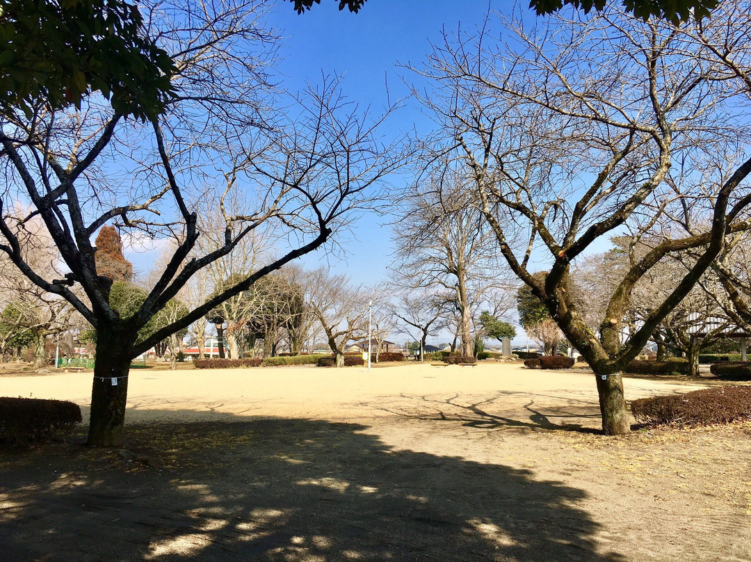 Yukijo Castle Site Park-结城市必去景点