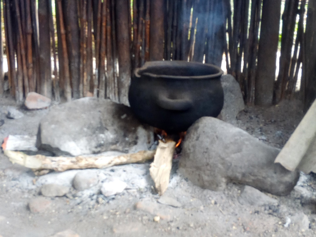 Ames Boat & Tours-吉塞尼必去景点