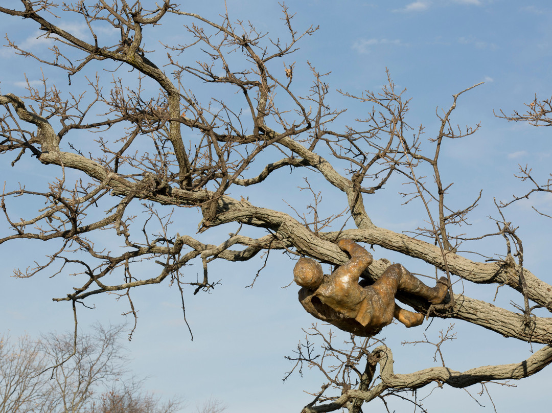 Coffman Park-都柏林必去景点
