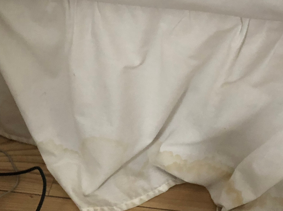 Madonna Halley's Hotel