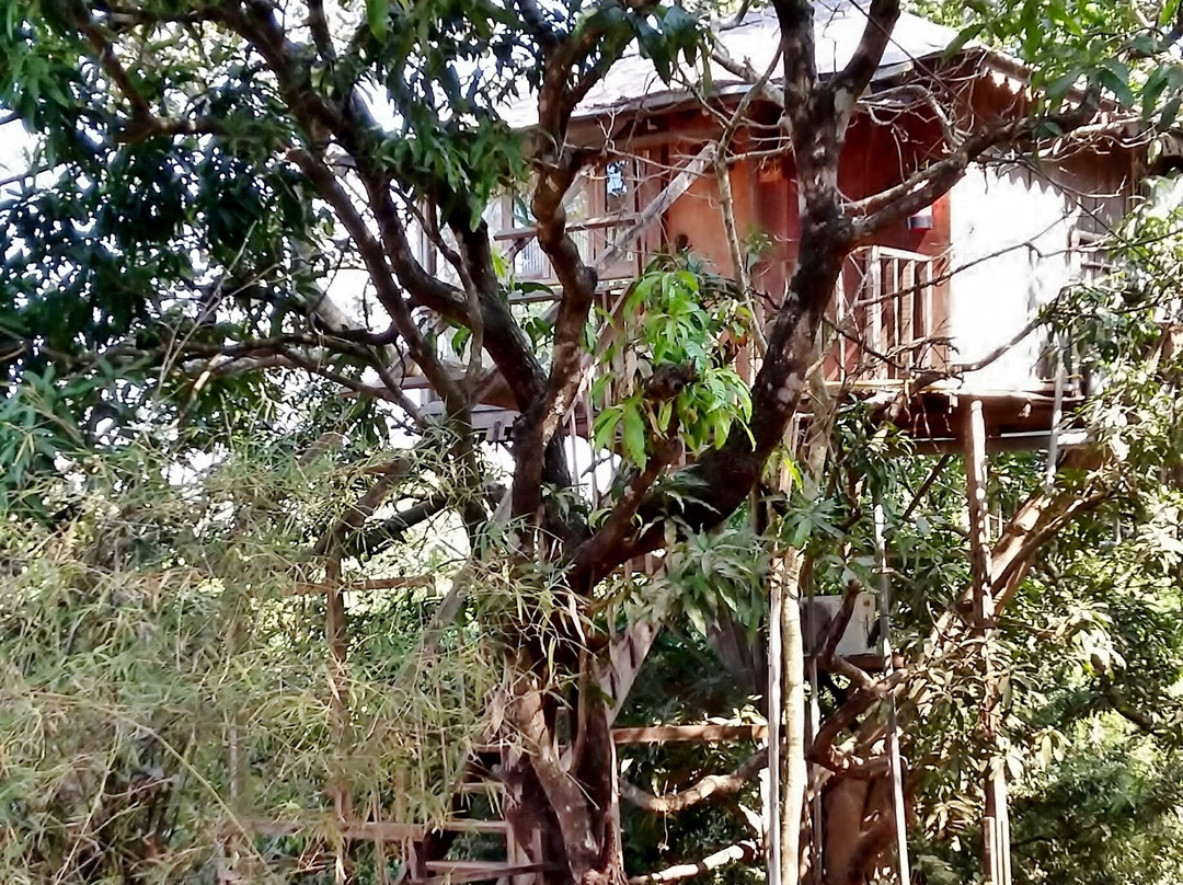 Amrutes' Nisarga Sahavas主图