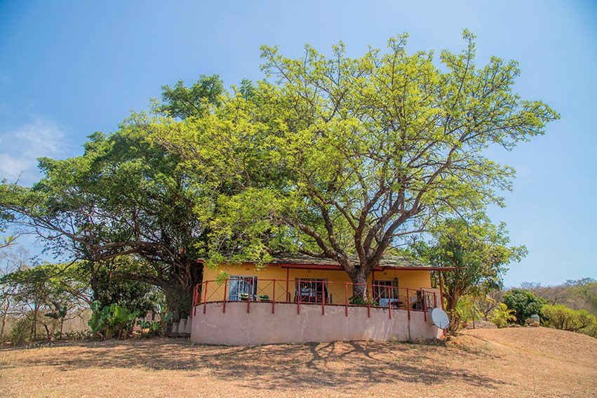 豪斯科帕兹奇民宿主图