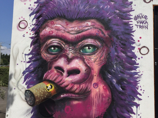 Yarra Valley Transfers - Wine Tours-希尔斯维尔必去景点