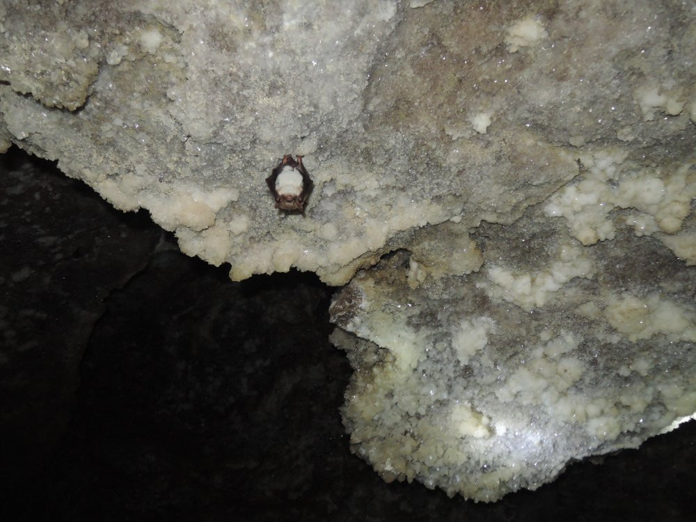 Cave Atlantida-Kamianets-Podilskyi必去景点