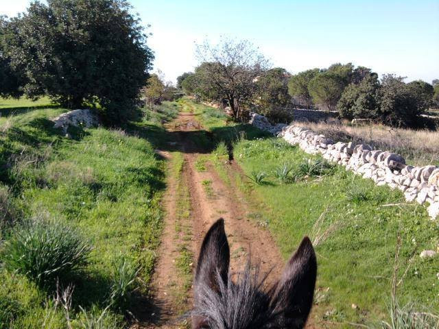Cavallo Natura Iblea景点图片