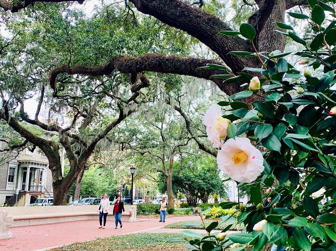 Chippewa Square-萨凡纳必去景点