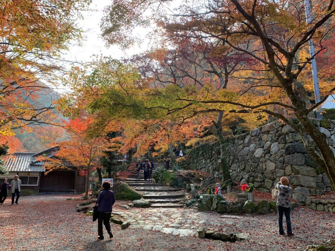 Daiitokuji Temple-岸和田市必去景点
