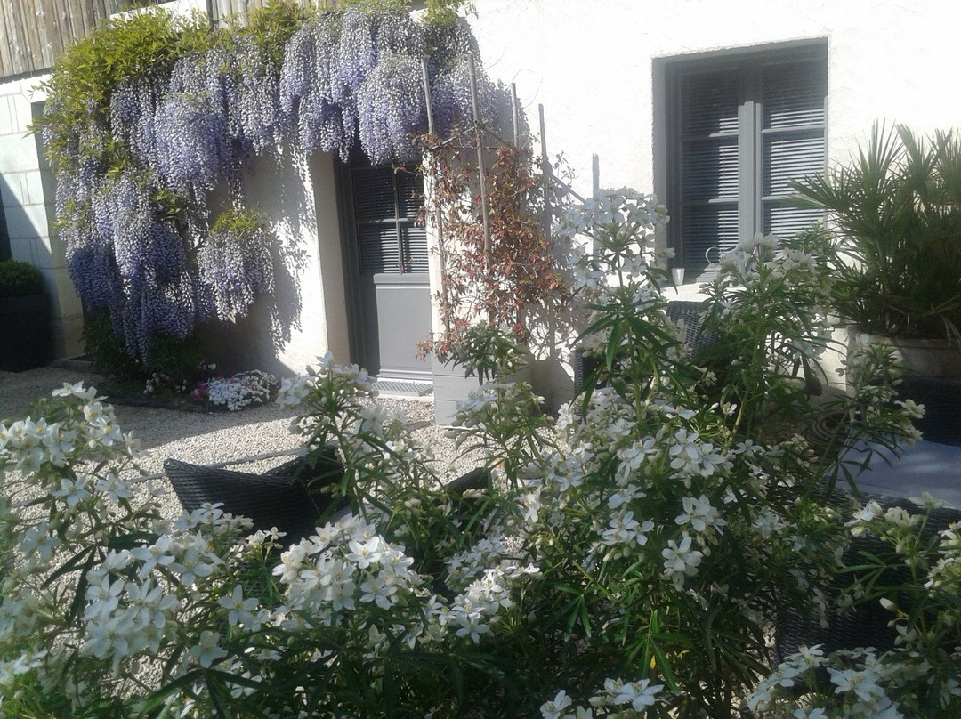 Chambres d'hotes Rue du Poids主图