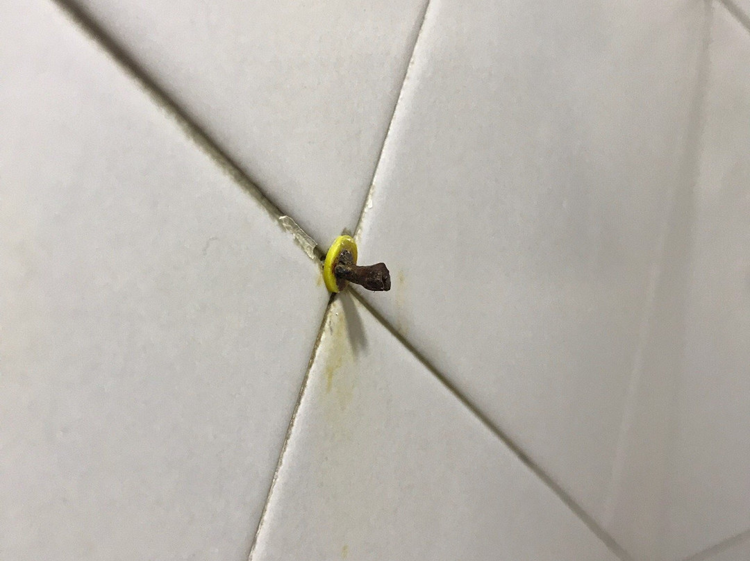 San Andres Noblehouse Hotel主图