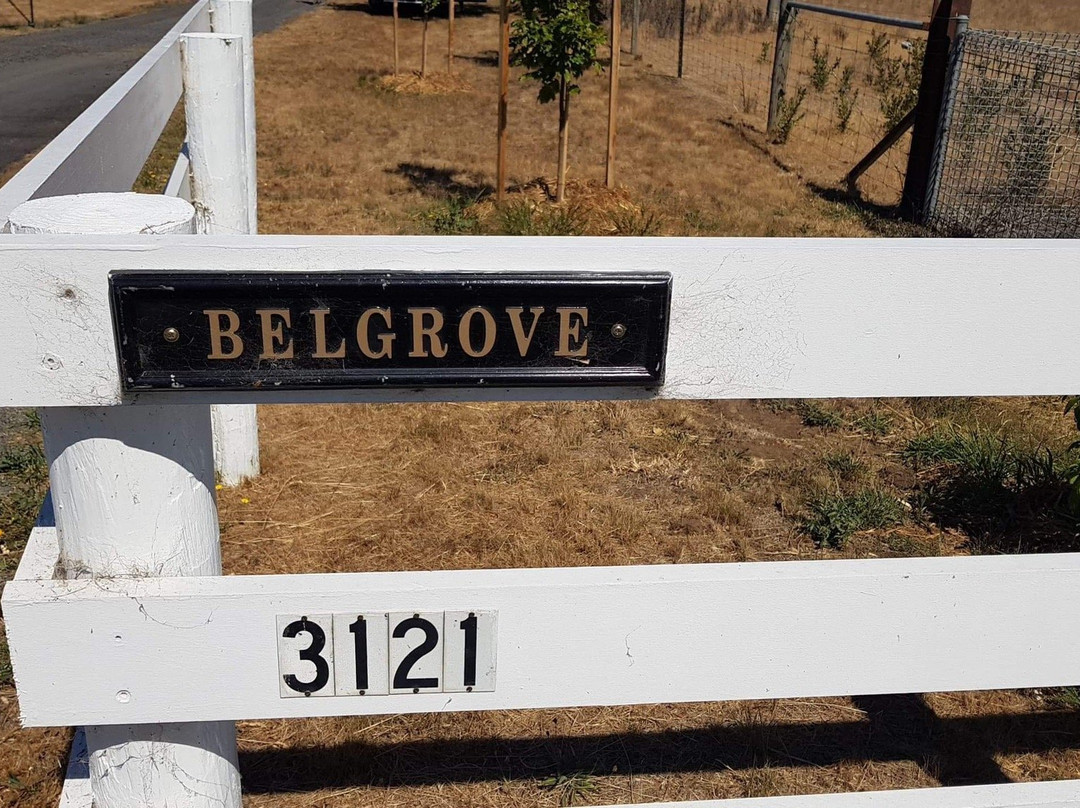 Belgrove Distillery-Kempton必去景点