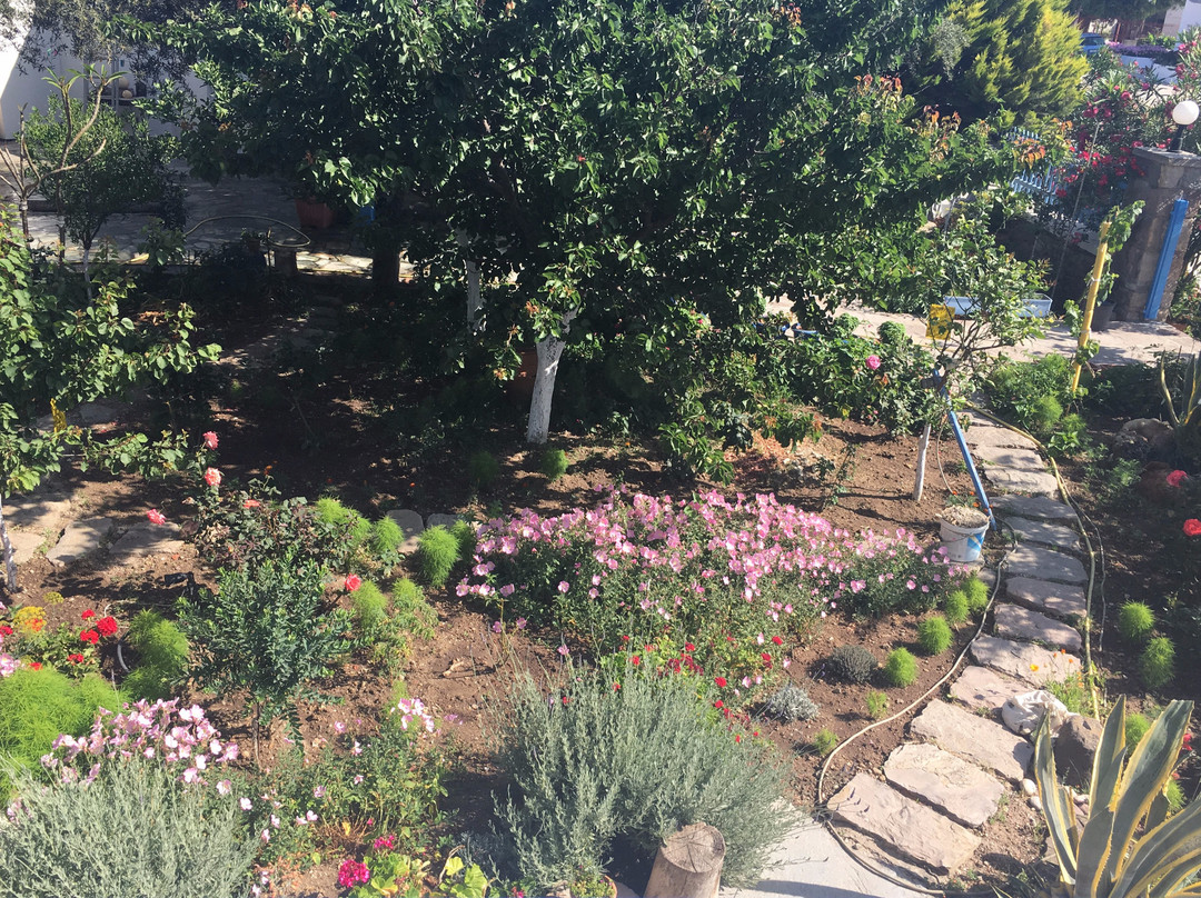 Tilemachos Rooms & Studios主图