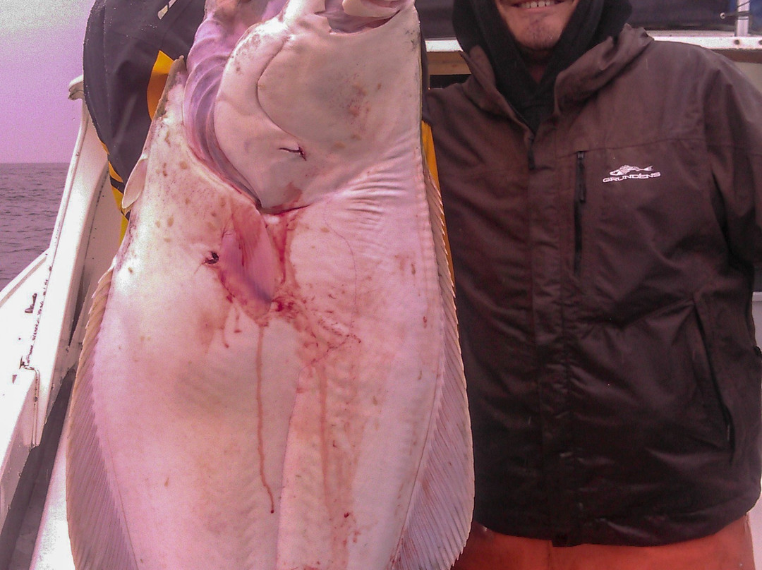 Seldovia Alaskan Fishing Charters景点图片