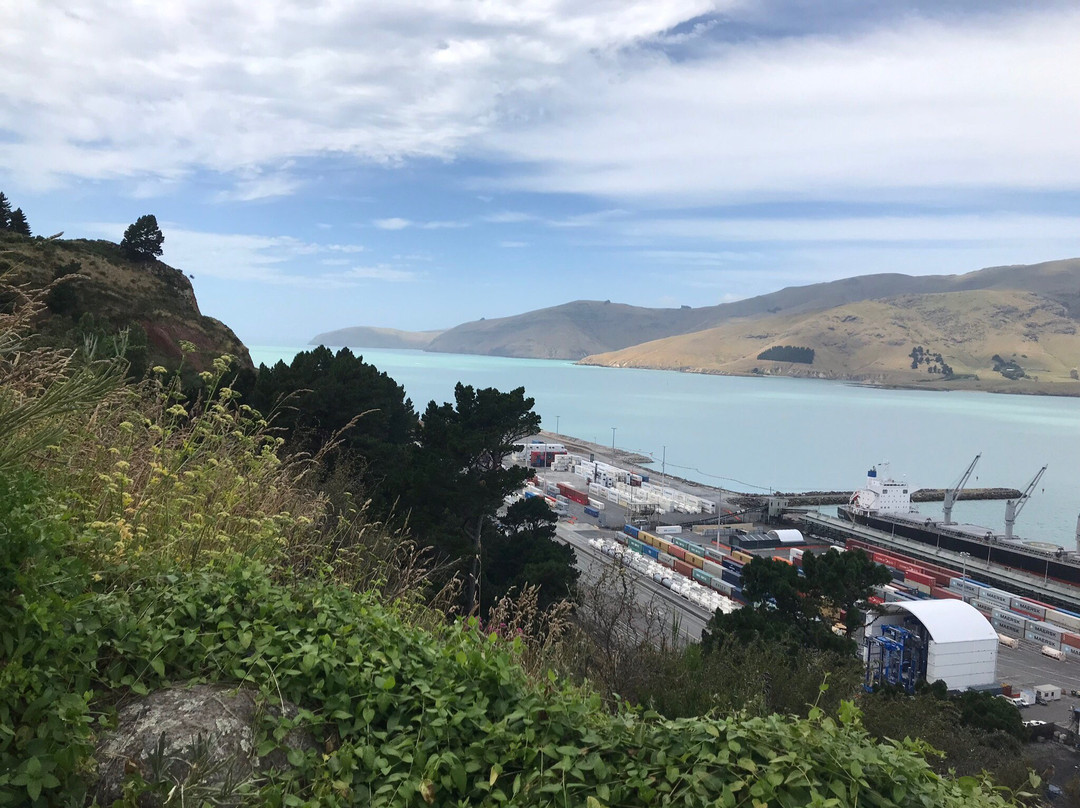 Lyttelton Time Ball Station景点图片
