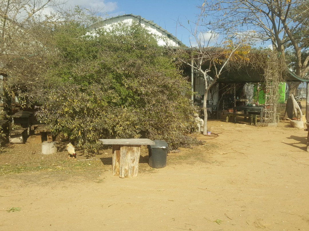 Tzeela Dairy-Ein Habesor必去景点