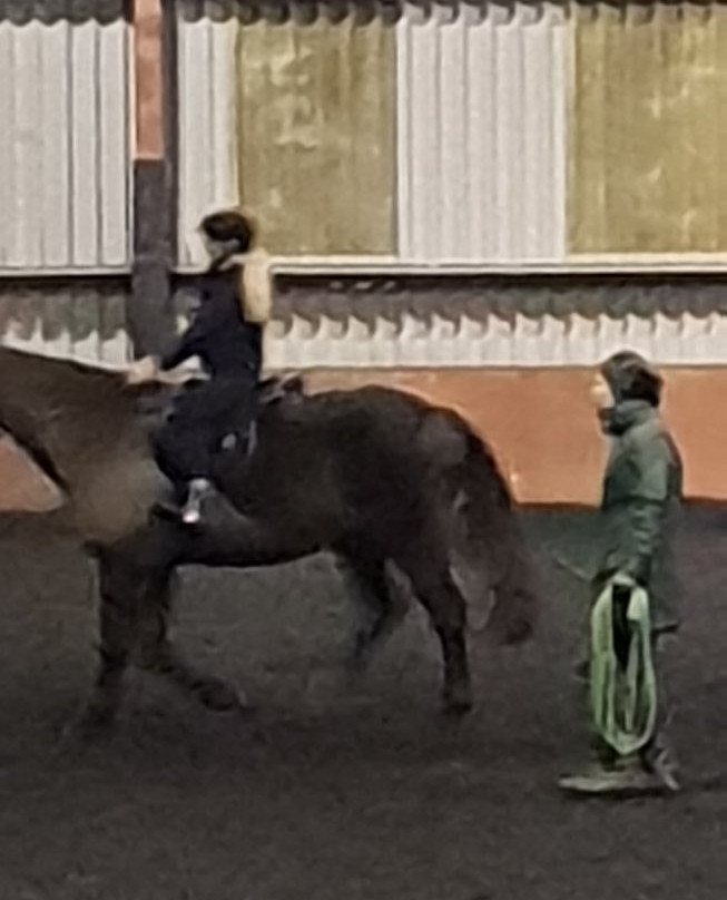 Ayr Equestrian Centre景点图片