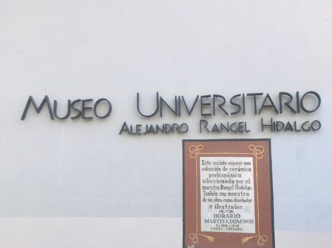 Museo Universitario Alejandro Rangel Hidalgo景点图片