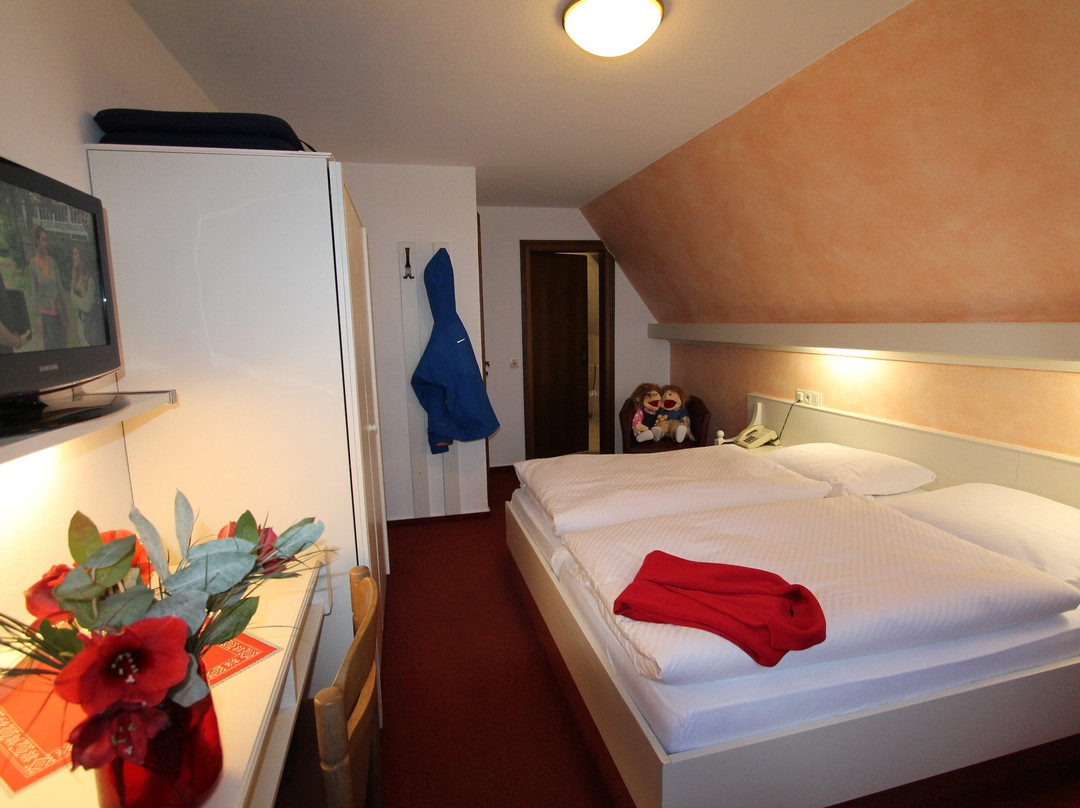Hotel Bischof主图