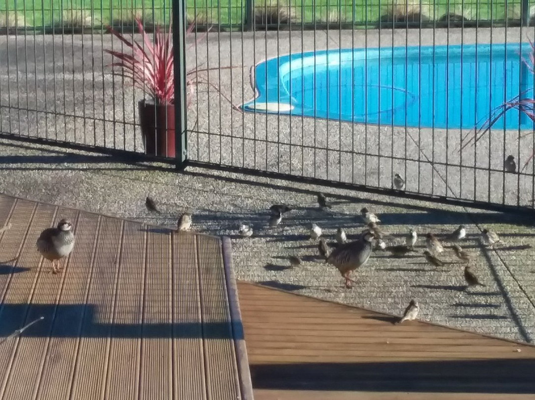 Applecross Sanctuary主图