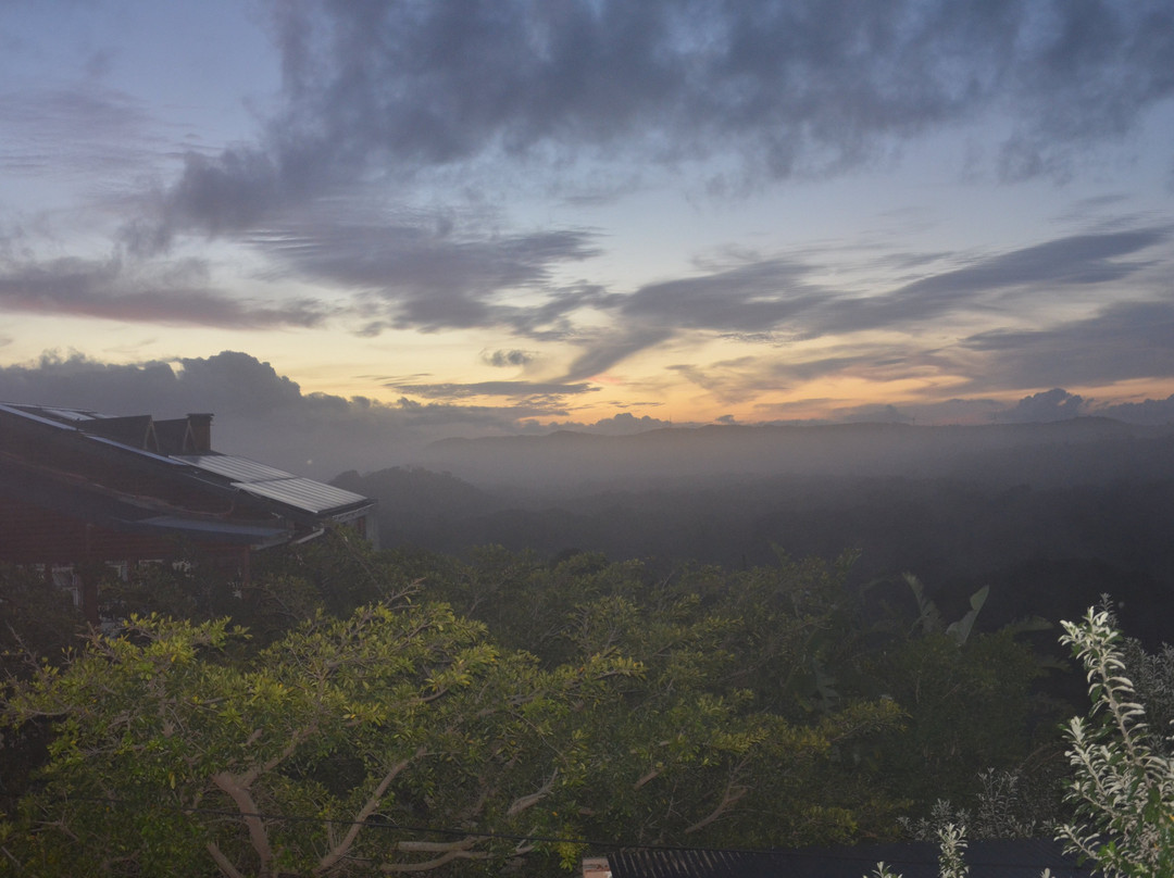 Oyster Kaya At Oyster Bay主图