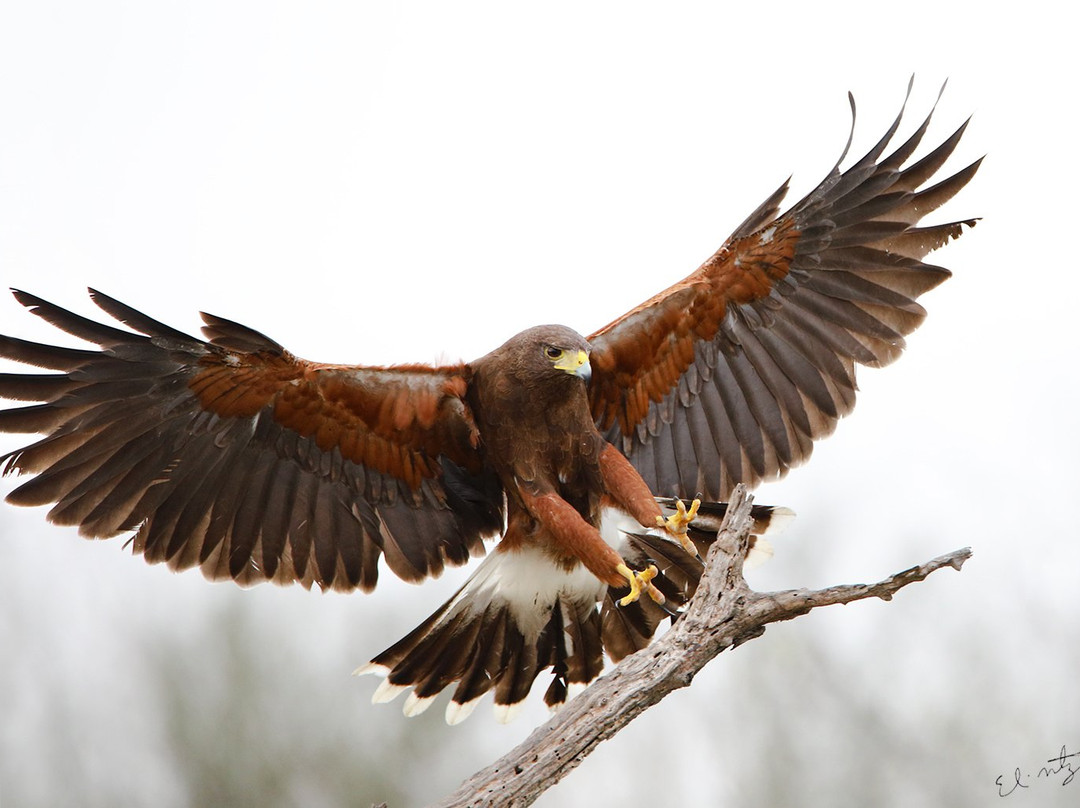 SDM adventures-Riviera必去景点