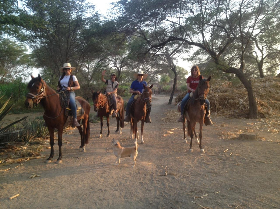 Rancho Santana horseback riding Peru-帕科拉必去景点