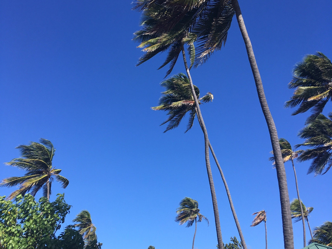 Isla de Cabras-Toa Baja必去景点